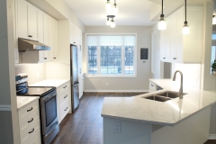 Kitchen1